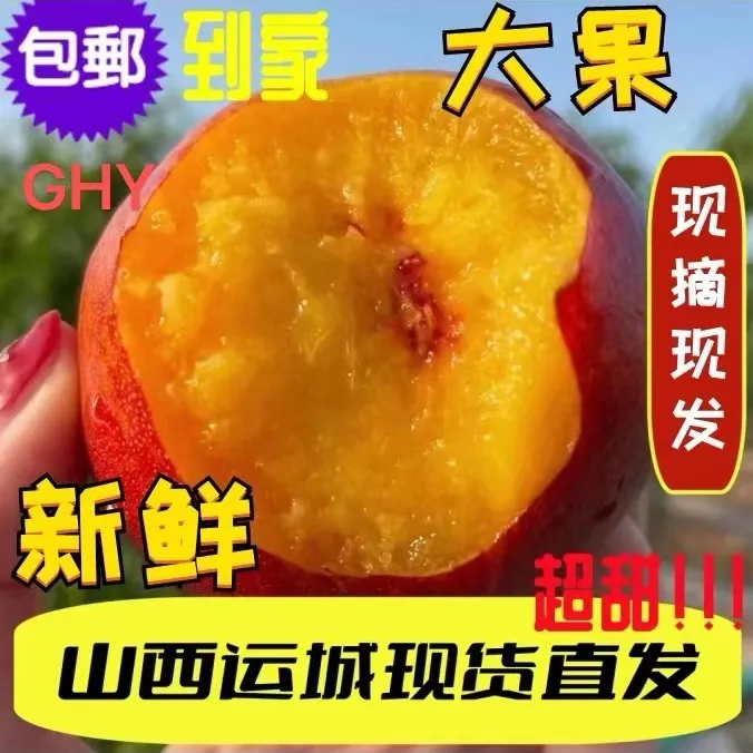 精品大果麻点黄桃黄心新鲜肉厚脆甜3斤/4.5斤包邮鲜嫩多汁香甜桃