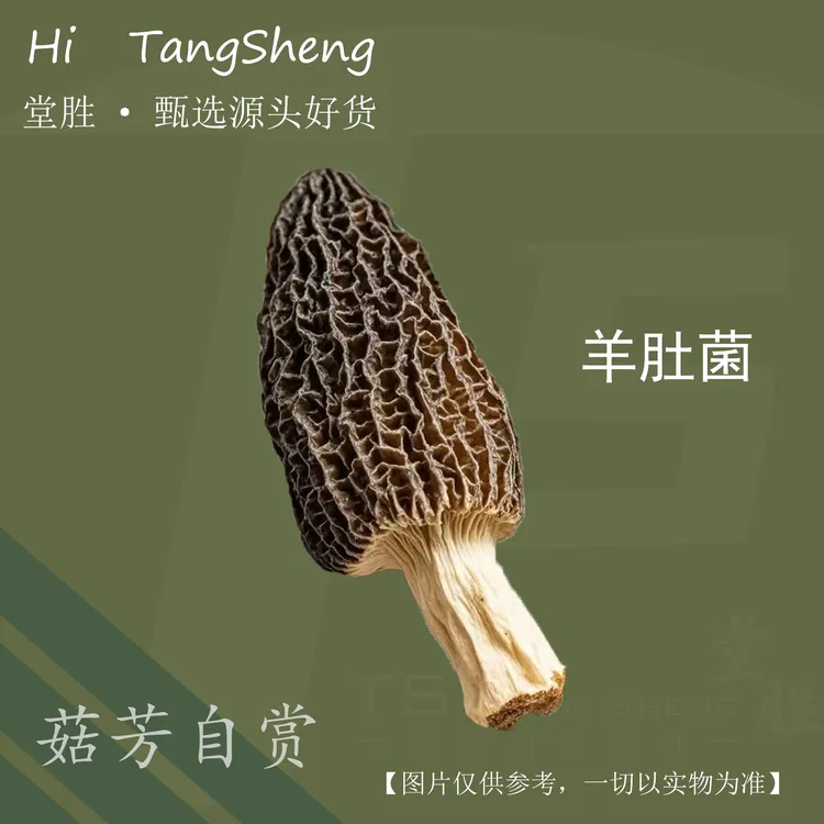 【源产地古田】 堂胜羊肚菌 品质食用菌新鲜煲汤食材