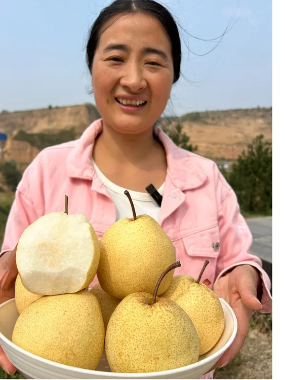 【陕西蒲城酥梨】2025年酥梨御梨子酥脆甜多汁梨皮薄纯甜产地直发
