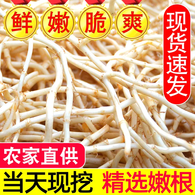 【现挖新货】农家鱼腥草新货新鲜折耳根嫩根中药材湖北节儿根蔬菜