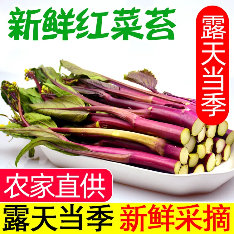 【婉儿助农】【农家现摘】湖北新鲜红菜苔青菜紫菜薹自种露天当季蔬菜