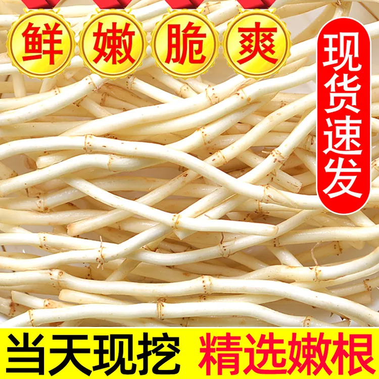 【新根上市】农家鱼腥草新货新鲜折耳根嫩根中药材湖北节儿根蔬菜