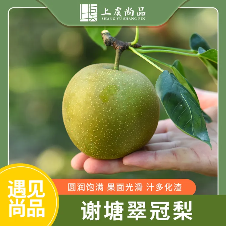 上虞尚品上虞谢塘翠冠梨现摘现发9个装带箱2500g装新鲜