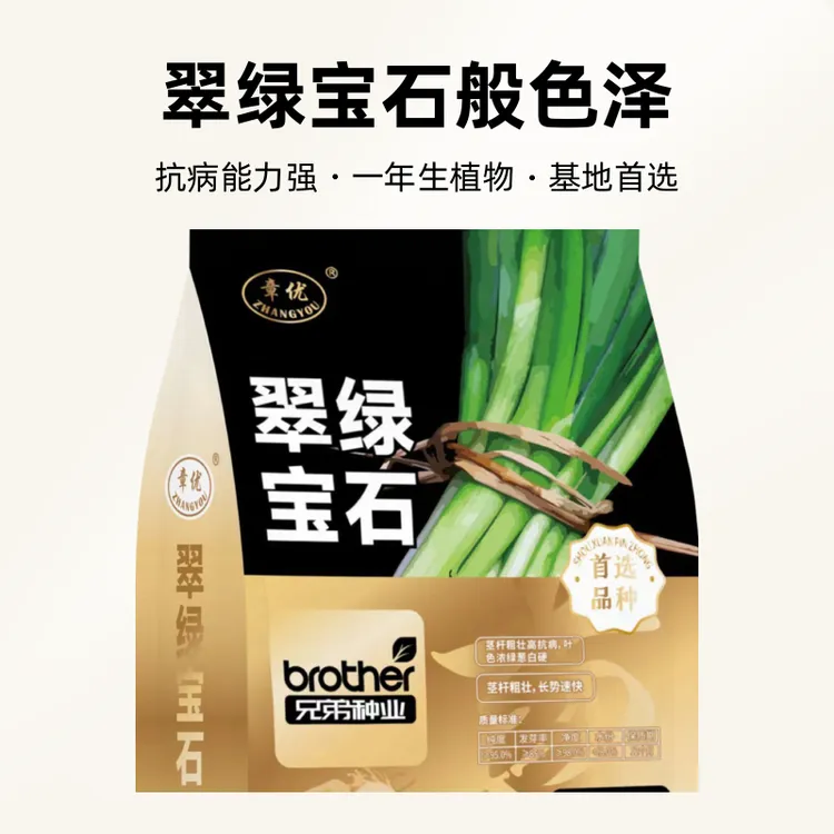翠绿宝石章丘大葱种子（基地首选）