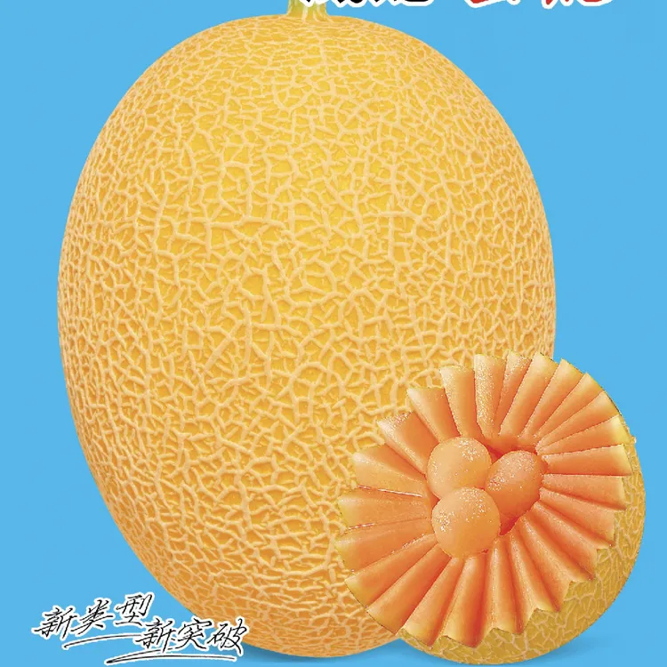 《威龙蜜悦》易管理黄皮哈密瓜种子包邮