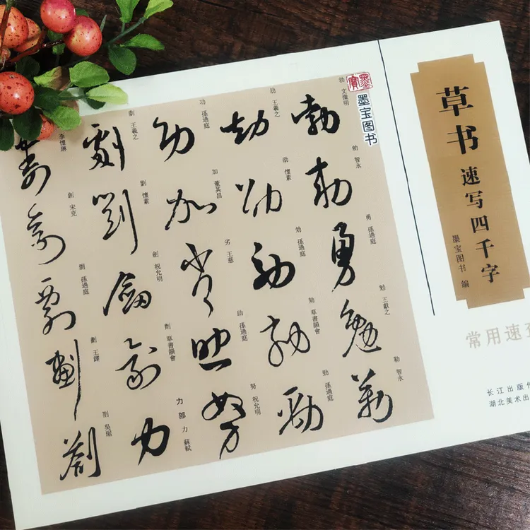 【晟澜】 行书  草书  篆书  速写4000四千字 书法常用笔画速 YC
