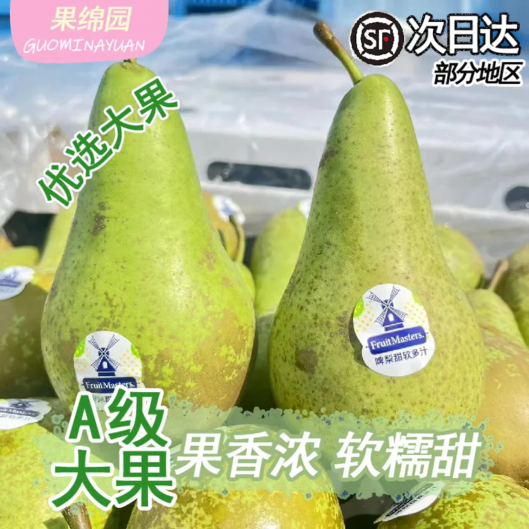 比利时啤梨士多啤梨啤酒梨宝宝辅食孕妇水果新鲜大果软糯香甜新鲜