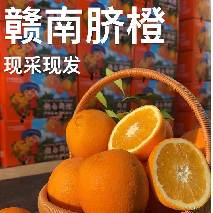 （顺丰包邮）20斤精品中大果