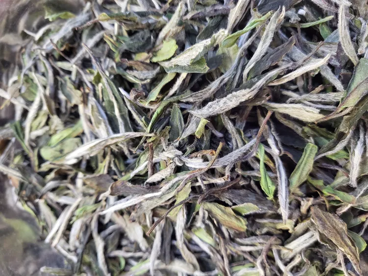 小陈家2024年明前花香荒野牡丹白茶传统工艺茶香口感滋味
