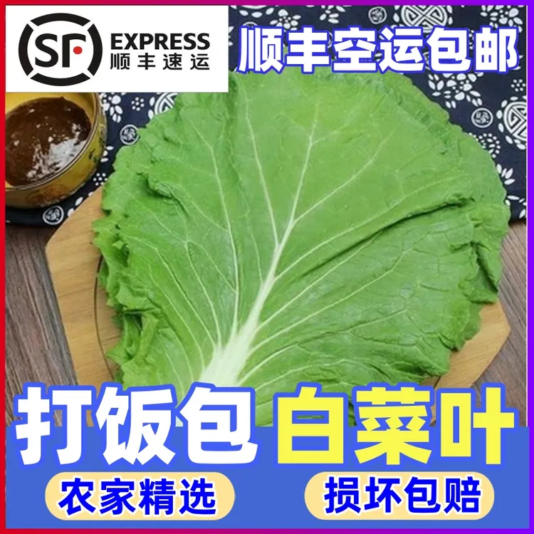 东北新鲜大白菜叶白菜叶东北白菜叶菜叶打菜包饭包白菜叶子200g