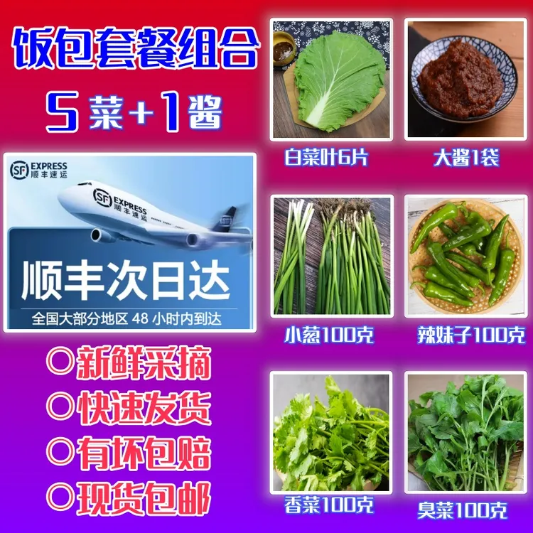 东北蘸酱菜白菜叶饭包组合辣妹子小葱臭菜香菜酱顺丰空运套餐500g