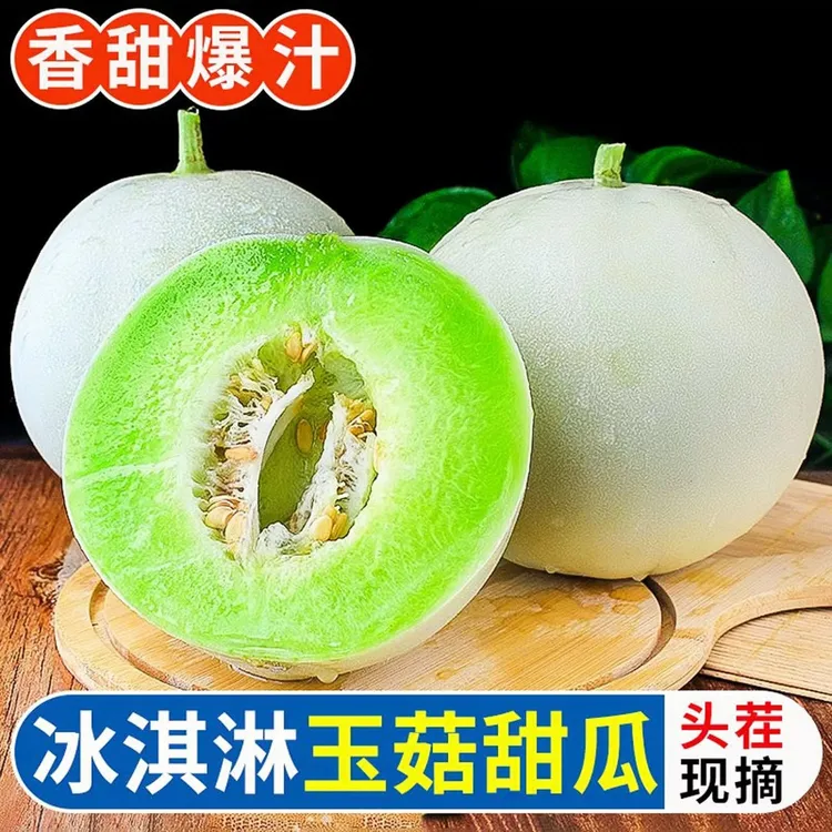 【玉菇甜瓜】M头茬玉菇甜瓜4.5-5斤2个冰淇淋蜜瓜甜瓜软糯坏果包赔