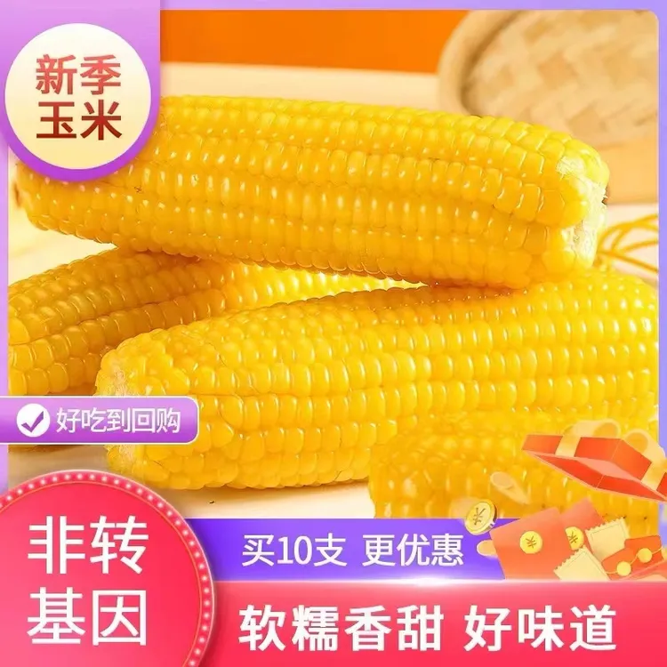 香甜黄金糯玉米拍8送2共10根260-320g/根整箱6斤以上