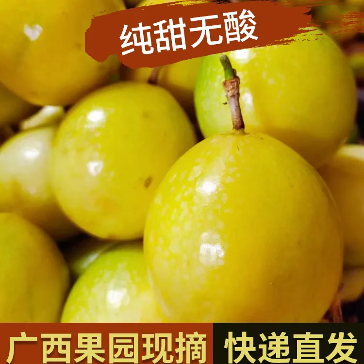 广西黄金百香果钦蜜9号纯甜精选大果5斤新鲜当季水果现摘现发包邮