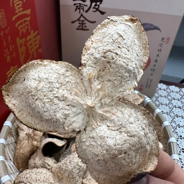 【2019梅江圈枝大红】新会陈皮纯干仓中年皮霸气香味香