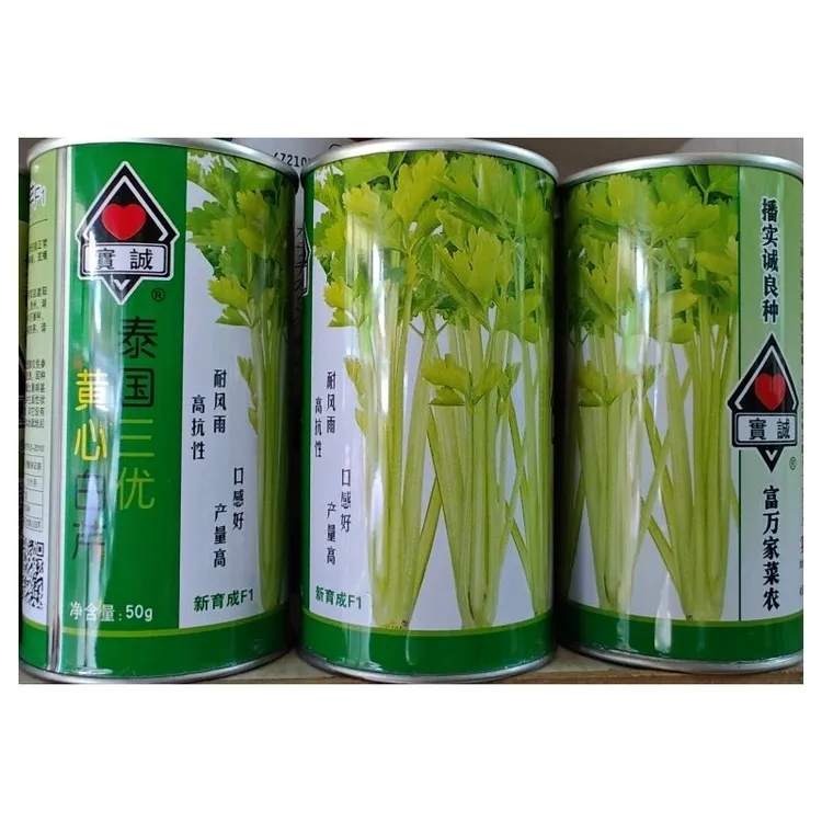 50克实诚泰国三优白骨黄心芹菜种子耐热黄芹种白芹种空心芹菜种