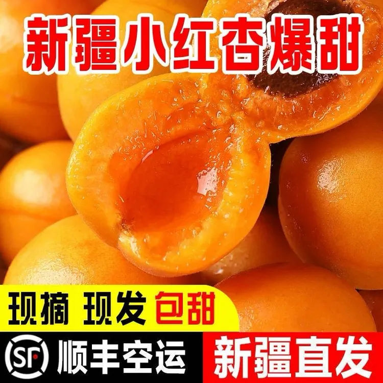新疆顺丰直发小红杏爆甜阿克苏吊干杏鲜杏沙漠蜂蜜不甜退款现摘