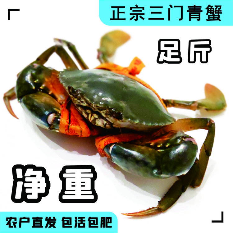 三门青蟹净重 红膏蟹链接 大母膏 无绳足斤 鲜活 猷蠓 红鲟