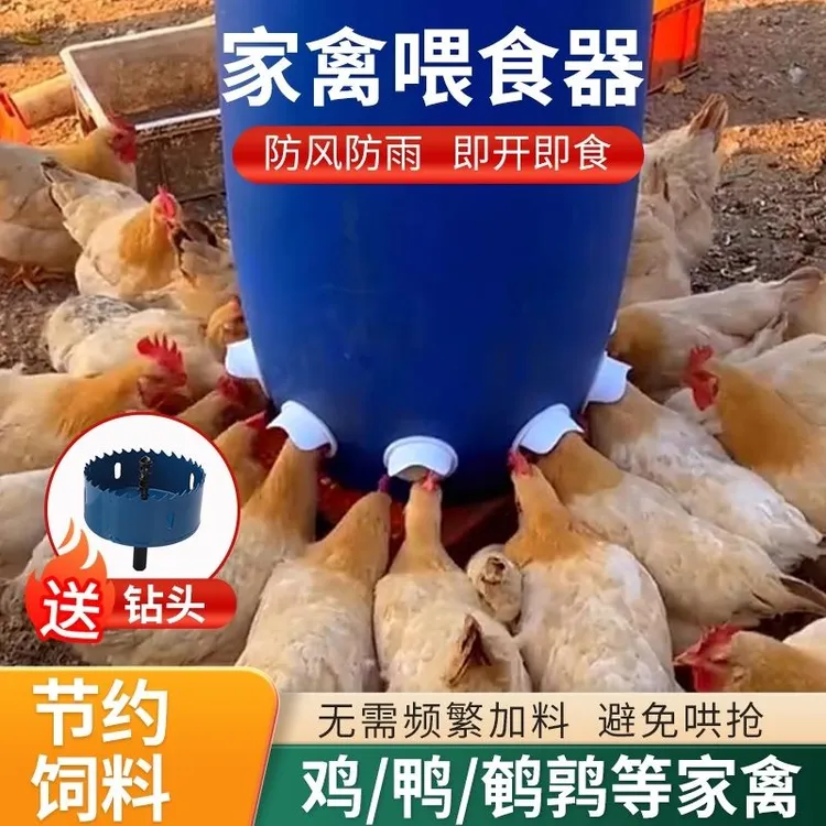 养鸡饲料鸭鹅通用食槽鸡鸭鹅自动喂料器家禽自动喂食器喂鸡器鸡料