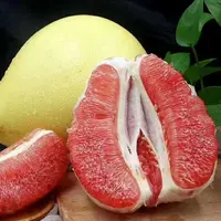 《丹选》 三红蜜柚 5.5-6斤 2颗 顺丰包邮 