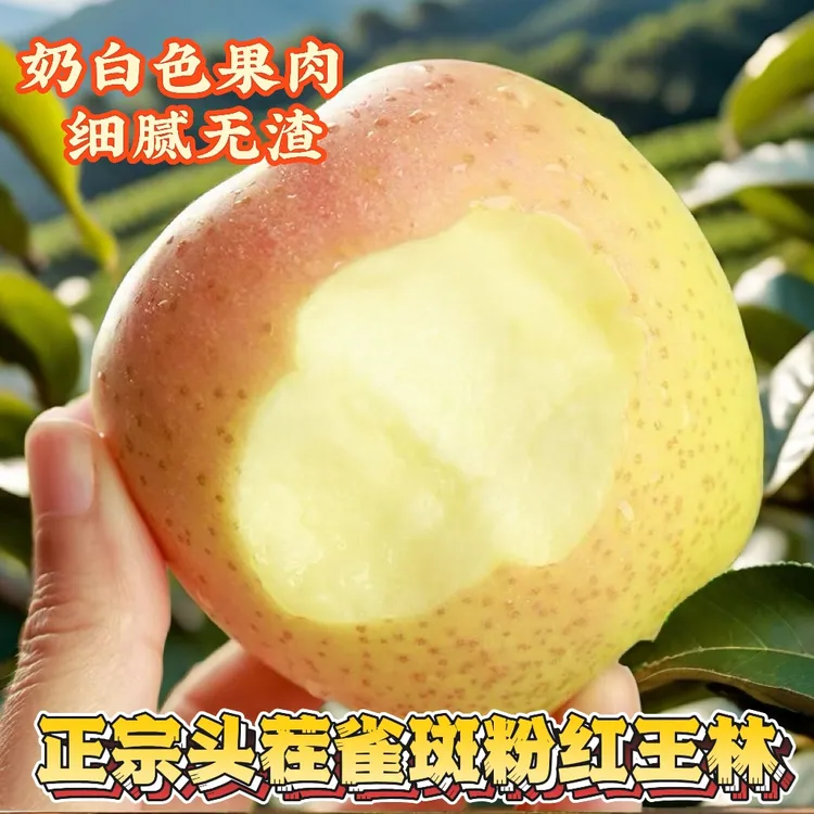 乡中香【正宗头茬王林苹果】雀斑水果脆甜多汁（原产地直发）