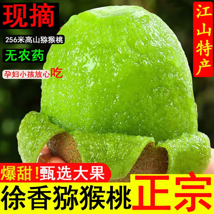 江山徐香猕猴挑正宗衢州绿心猕猴桃爆汁甜软糯现摘现发礼盒 5斤装
