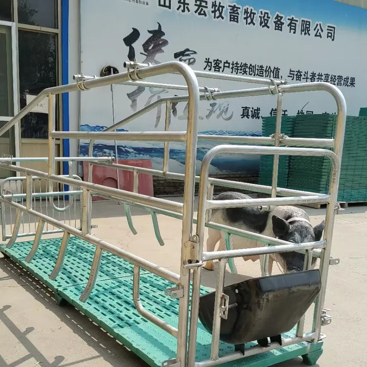 单体带板落地母猪产床