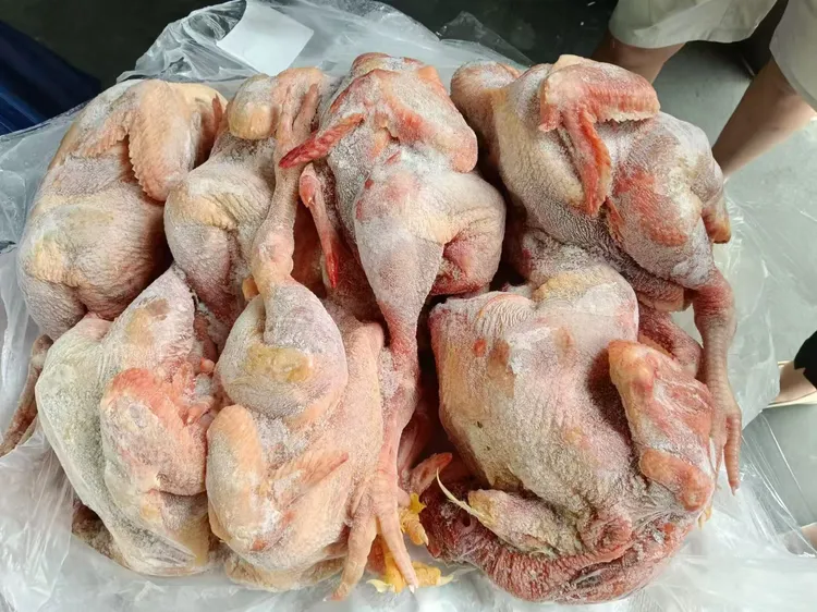 宠物猫狗零食鸡脖子净膛白条鸡冷冻鸡脖子食品级鸡胸碎肉整箱包邮