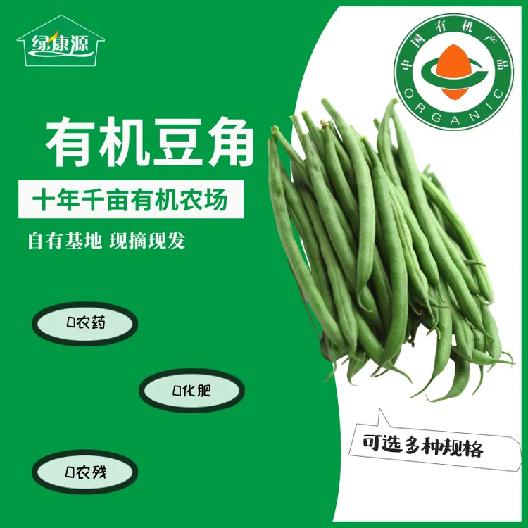有机豆角(内蒙古绿康源有机农场)新鲜种植