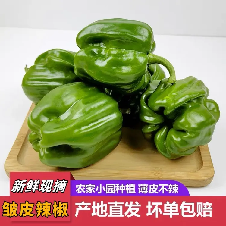 山东新鲜现摘小皱皮辣椒（3/5斤）薄皮