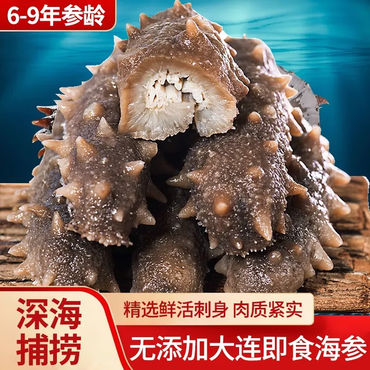 礁藏辽{大规格7-9头}正宗大连底播辽刺参即食海参口感Q弹劲道鲜美