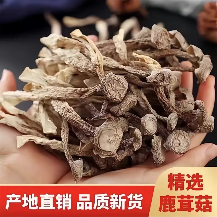 鹿茸菇干货古田特产鹿茸菇香菇干货高山菌菇无熏硫可批发煲汤食材