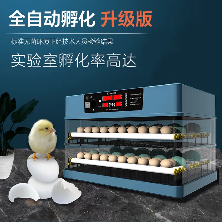 博实孵化器全自动控温家用小鸡鸭鹅鸽孵蛋器专业恒温功能