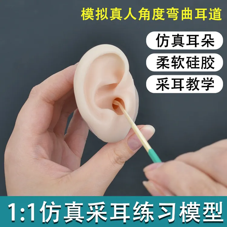 软硅胶采耳教学模型仿真人耳培训学员技师用长耳道1:1假耳朵练习