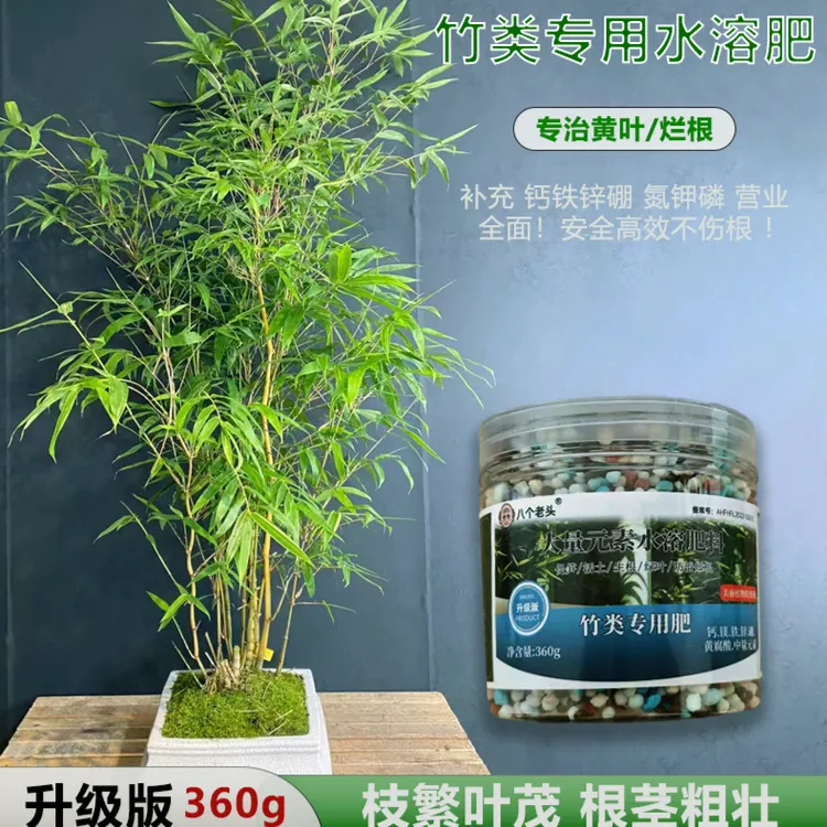 竹子专用肥内门竹肥料红观音竹肥料勒竹肥料营养全面专治黄叶烂根
