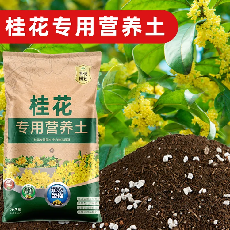 养桂花专用土营养土盆栽土专用土肥料专用肥土壤泥土种植养花土