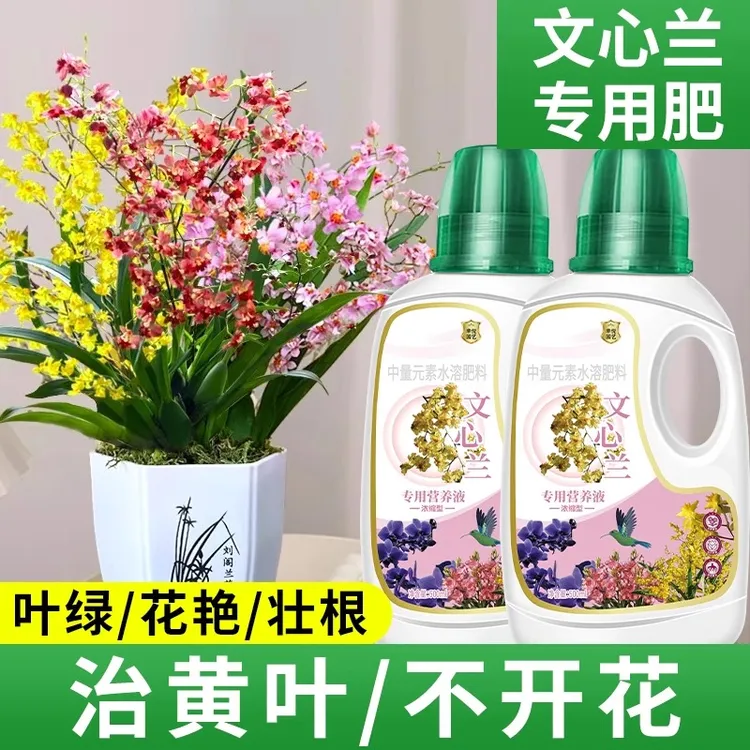 香水文心兰浓缩营养液花肥梦香兰跳舞兰专用肥兰花盆栽水溶液体肥