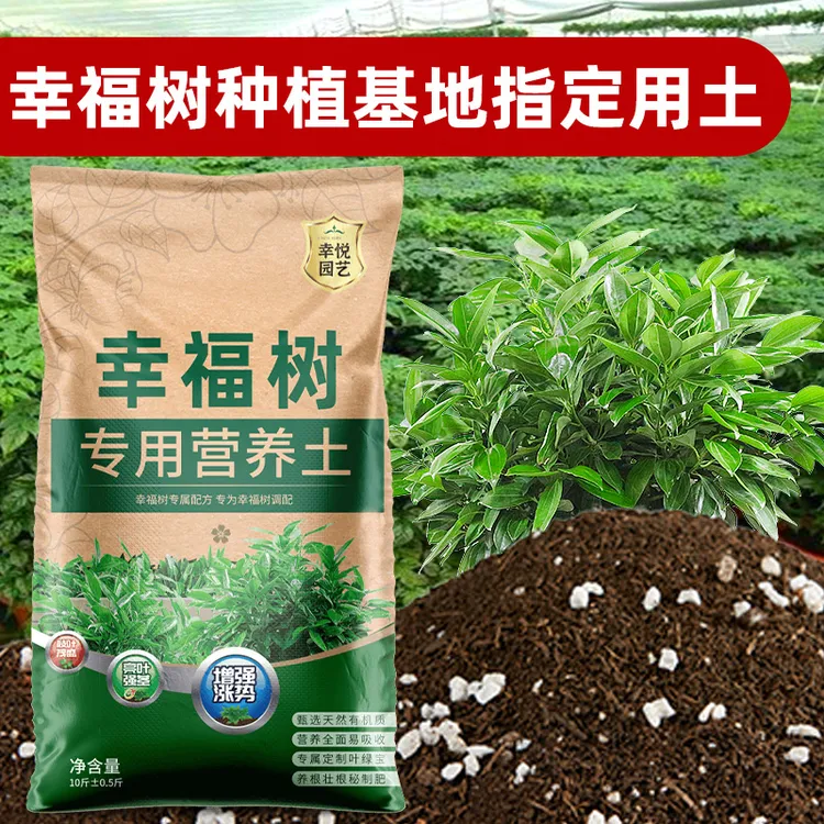 种幸福树专用土有机养花专用幸福树专用肥料泥土种植土通用型土
