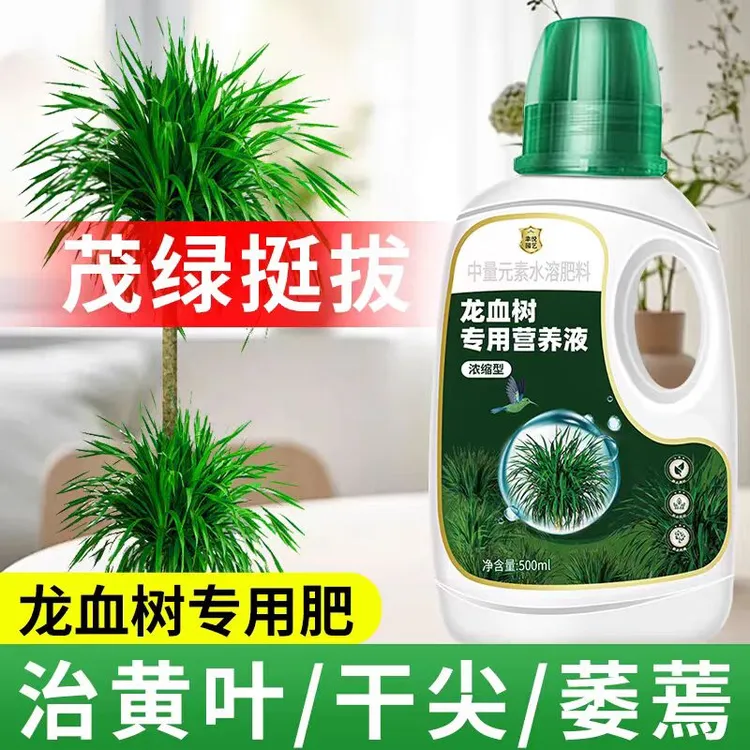 龙血树园艺叶子发黑金刚龙须树专用肥料花肥太空铁肥料盆栽通用