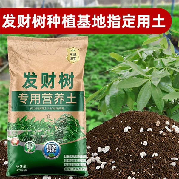 种养发财树专用土营养土适合盆栽土壤发财树肥料专用肥泥土种植土