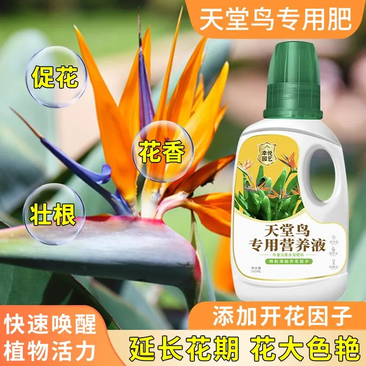 天堂鸟营养液肥料防治叶片开裂天堂鸟专用营养液水培植物营养肥料