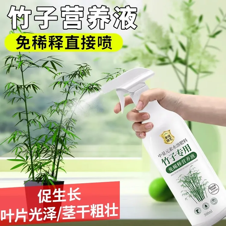 竹子免稀释专用营养液预防叶子盆栽竹子专用肥料免稀释液体肥