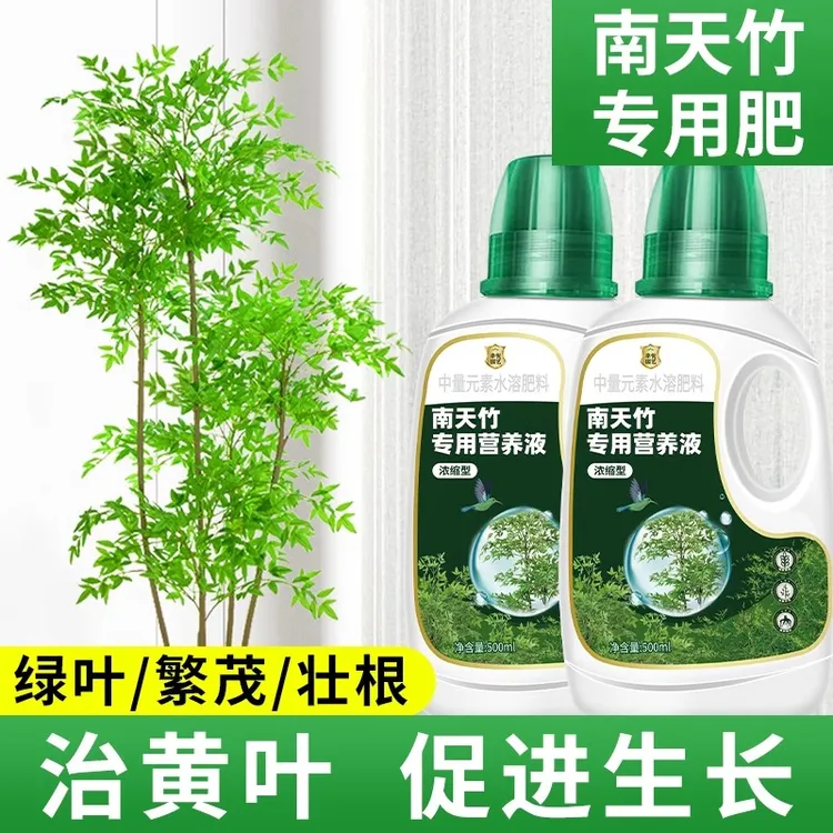南天竹浓缩营养液花肥治黄叶落叶火焰南天竺专用肥水培营养水溶肥