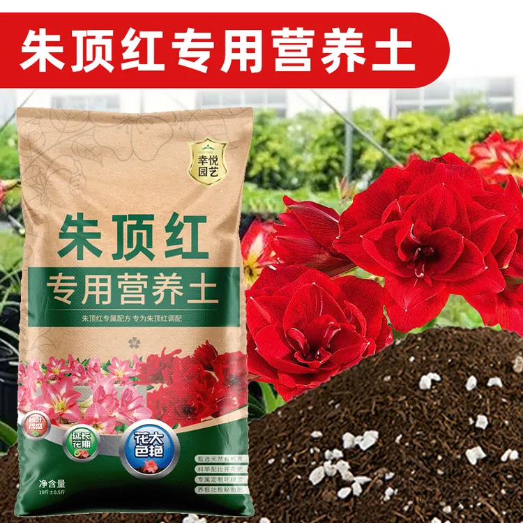 种朱顶红专用土通用型球根种球专用土花土壤专用肥料泥土疏松土壤