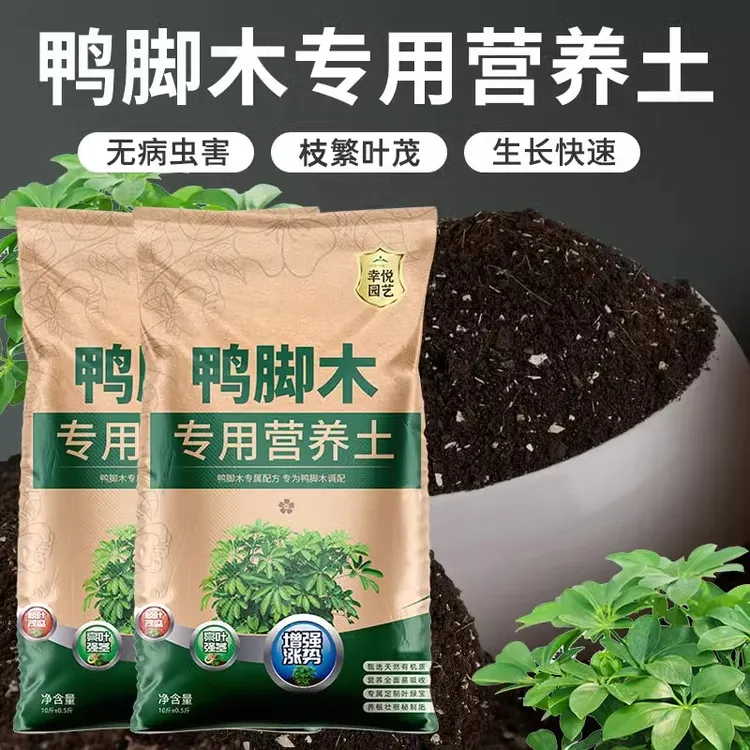 鸭脚木专用营养土花土七叶莲通用土壤鸭爪木鸭掌木泥土种植土肥料