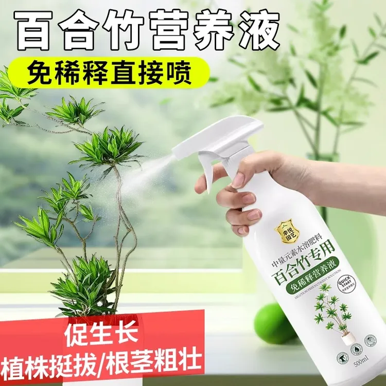 百合竹免稀释专用营养液花肥百合竹专用治叶子发黄绿植水溶叶面肥