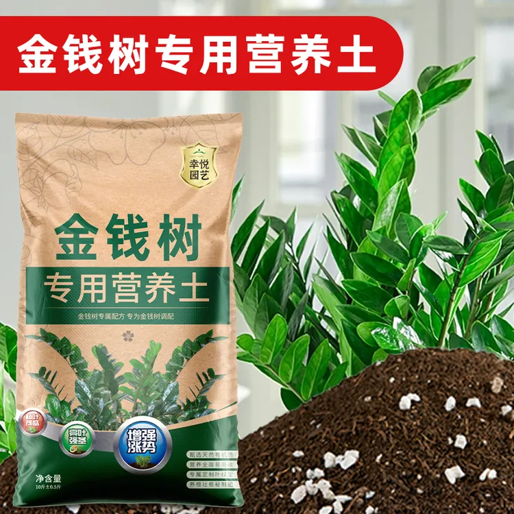 种金钱树专用土花土使用通用金钱树肥料专用肥盆栽泥土种植土壤