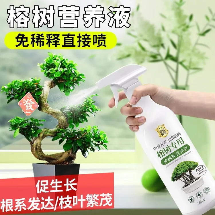 榕树免稀释专用营养液黄叶掉叶不长叶黄金榕人参榕小叶榕树专用肥