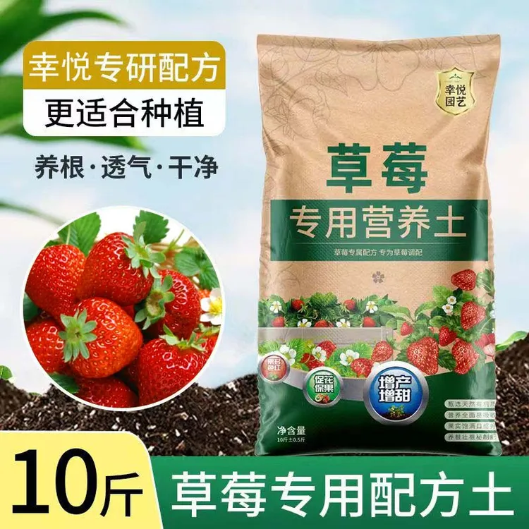 草莓专用营养土草莓基地同款土养花通用酸性土营养土泥土种植土壤