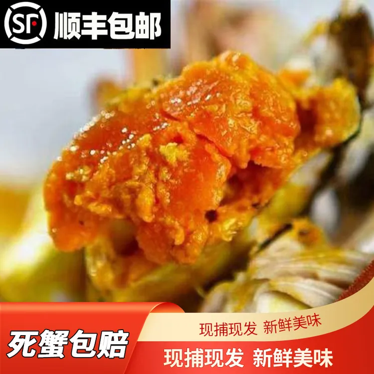 【元宵特惠】鲜活全母蟹10只（2.3-2.6两）送两只2两母蟹